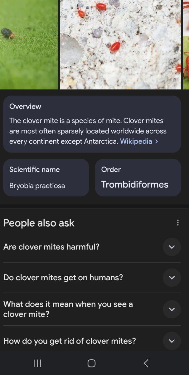 1000008569