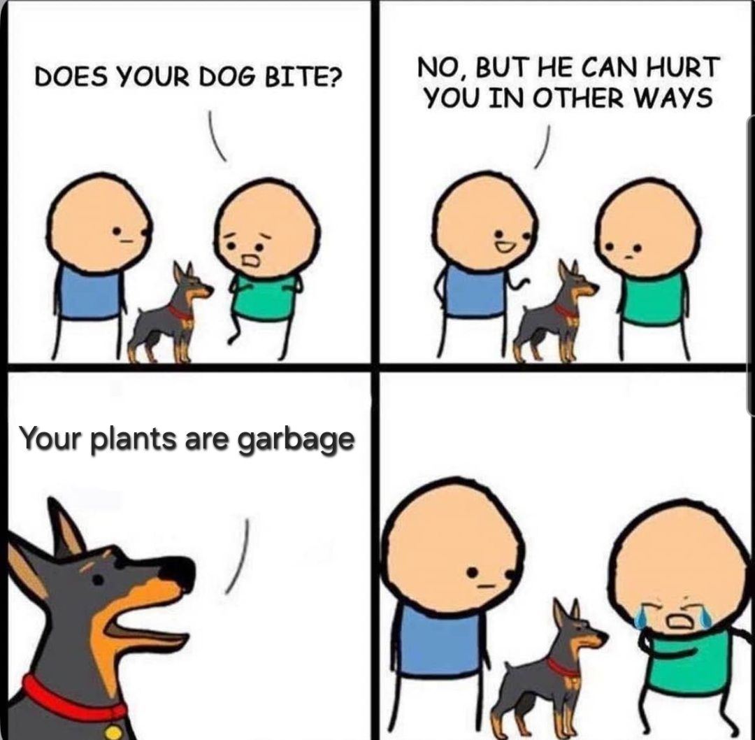 1000009866