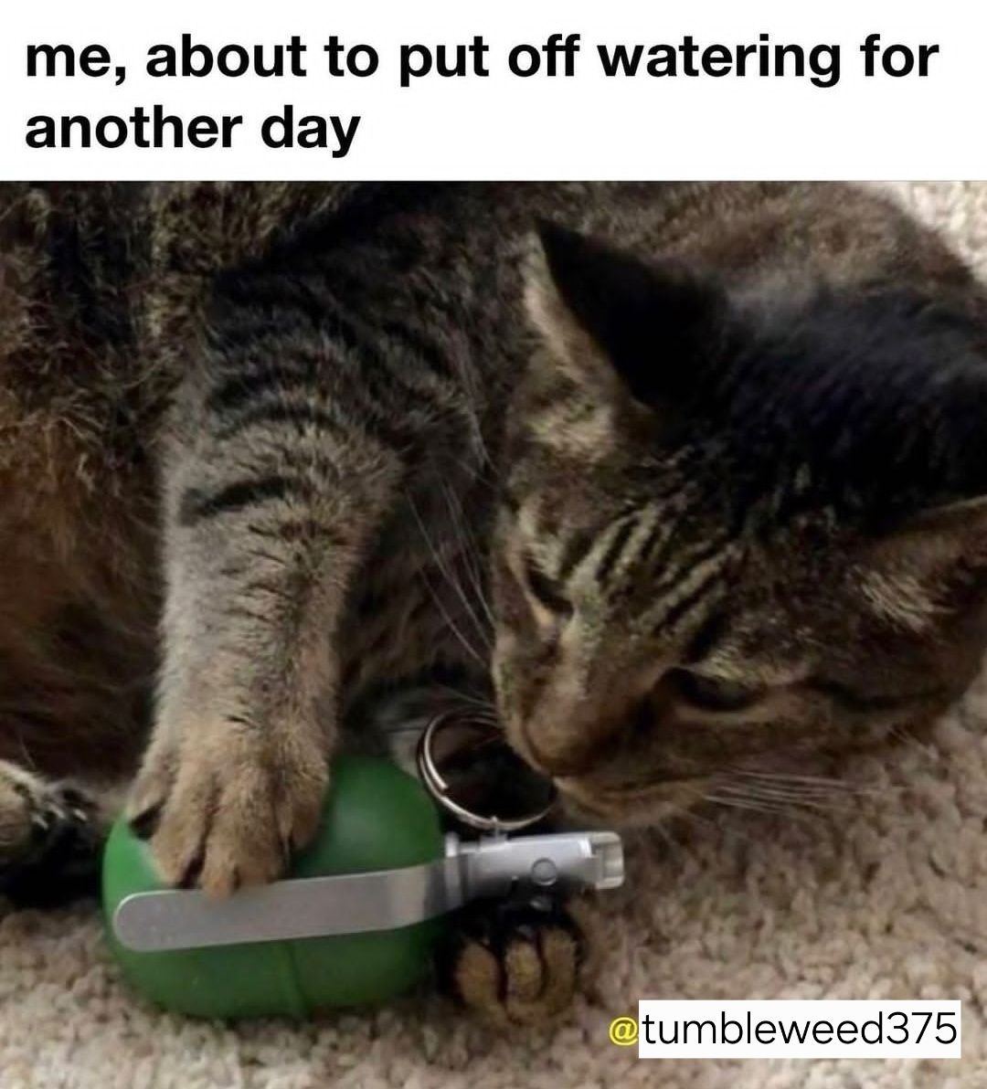 1000012989