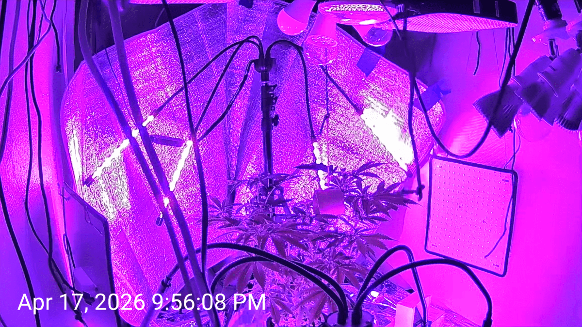 1000013830