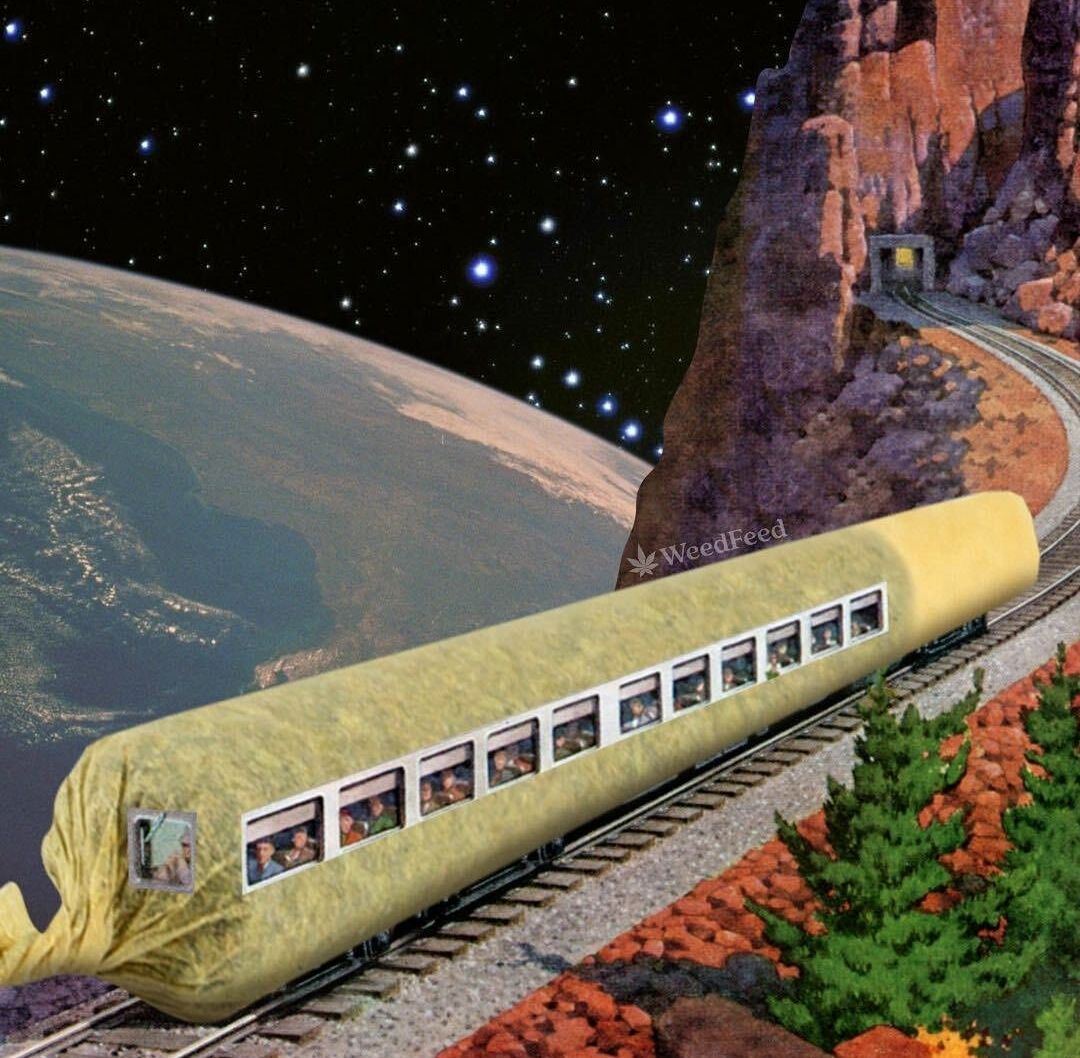 1000013877