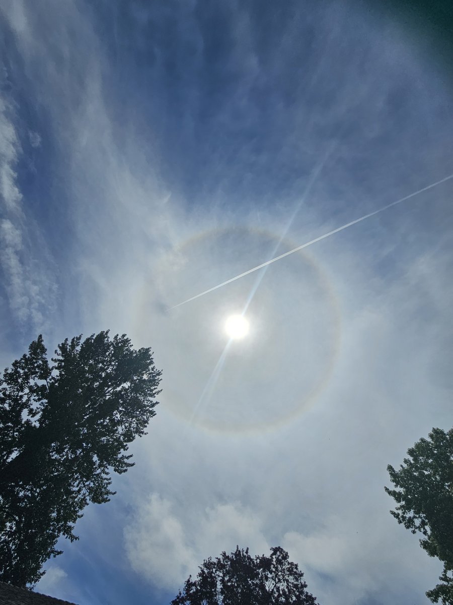 1000018082