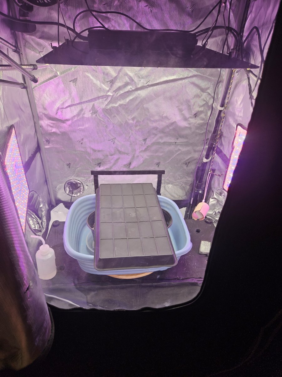 1000018627