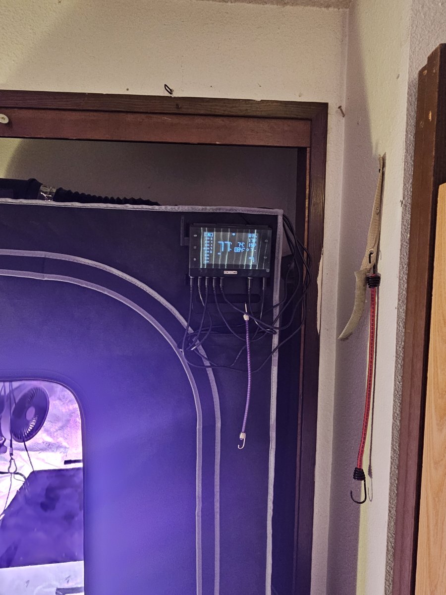 1000018704