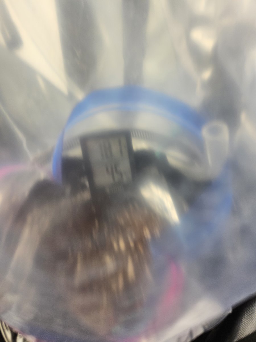 1000021031