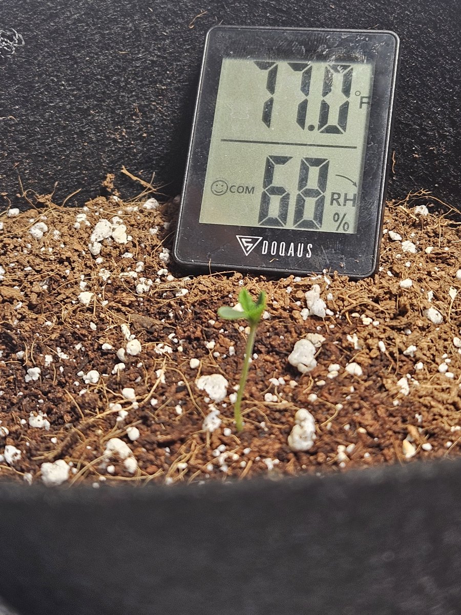 1000021220