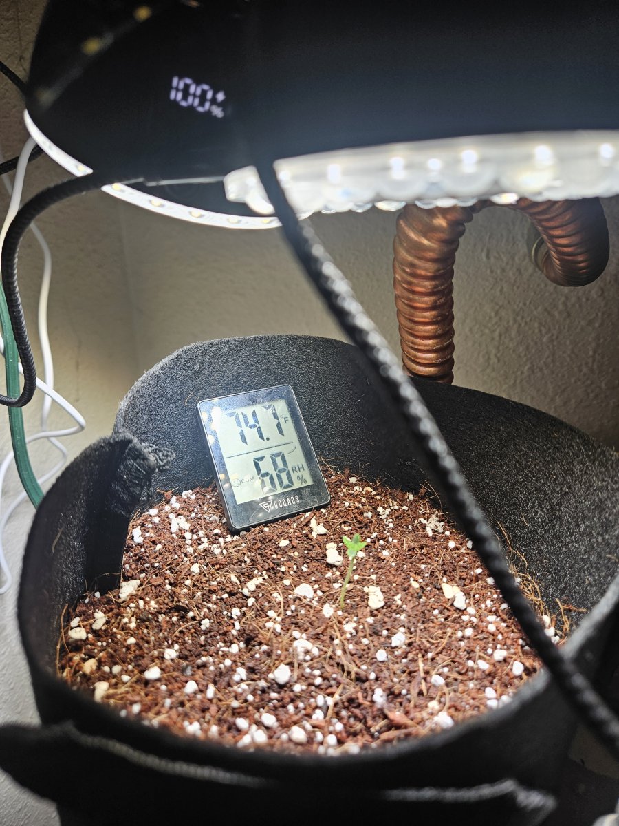 1000021221