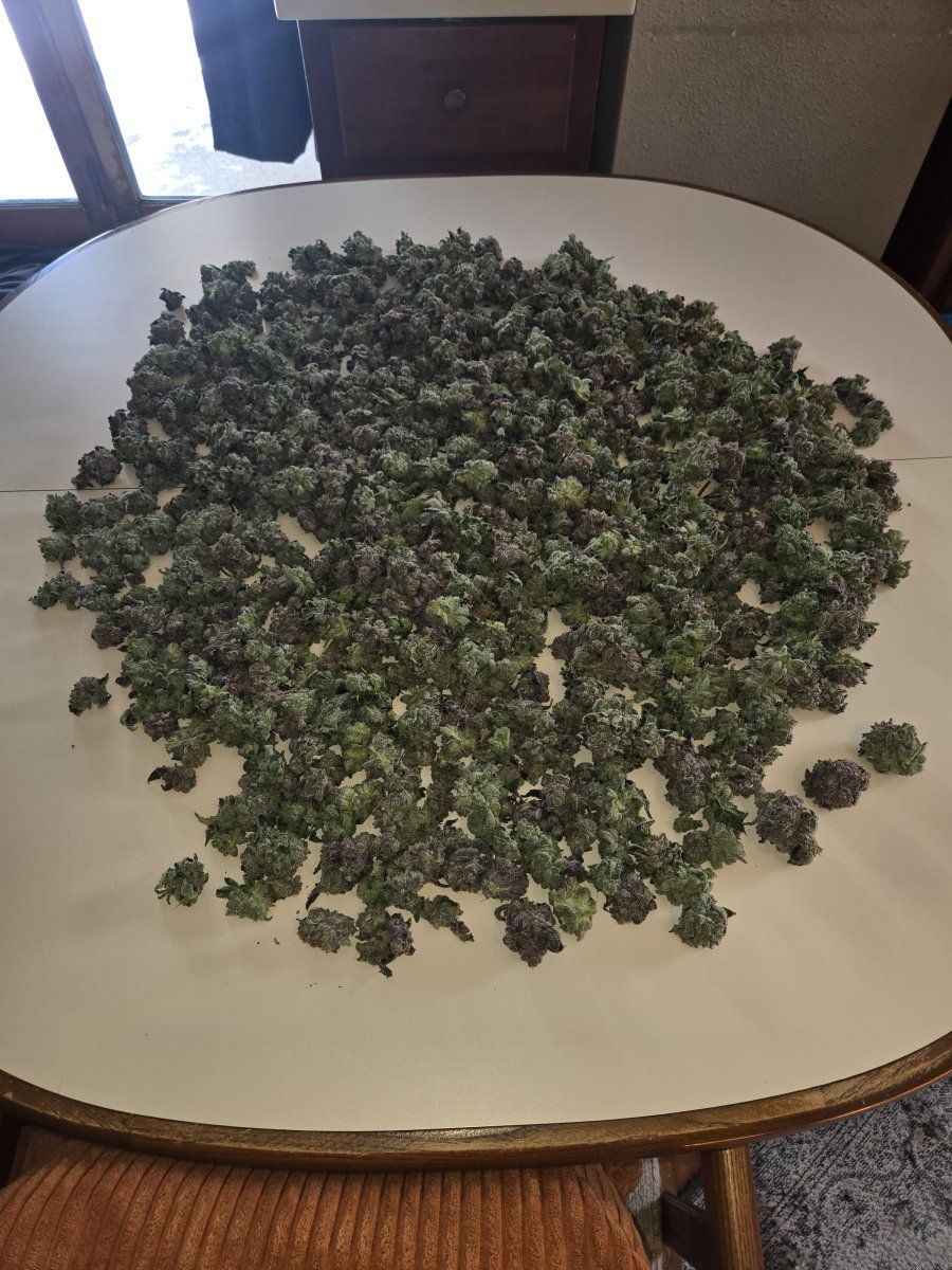 1000027044