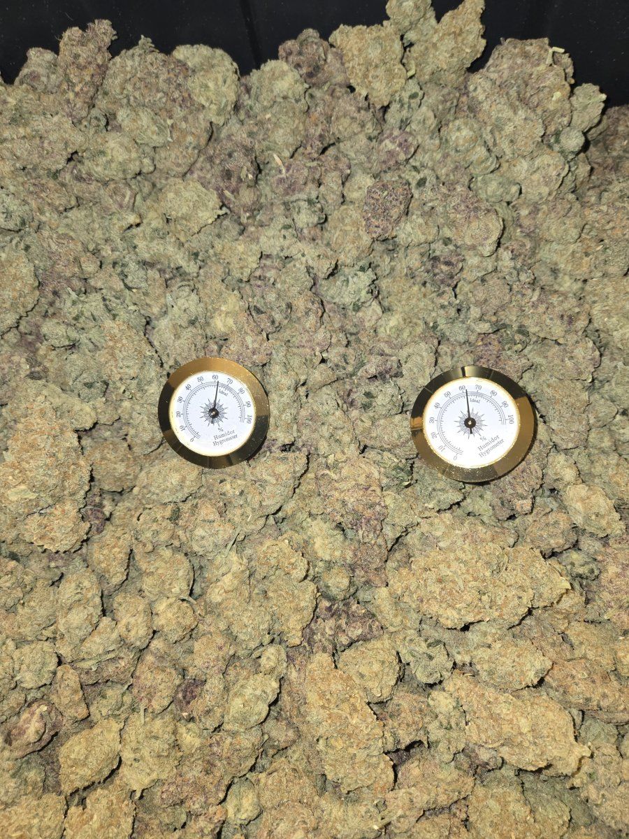 1000027185