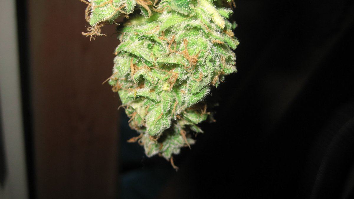 1000w4