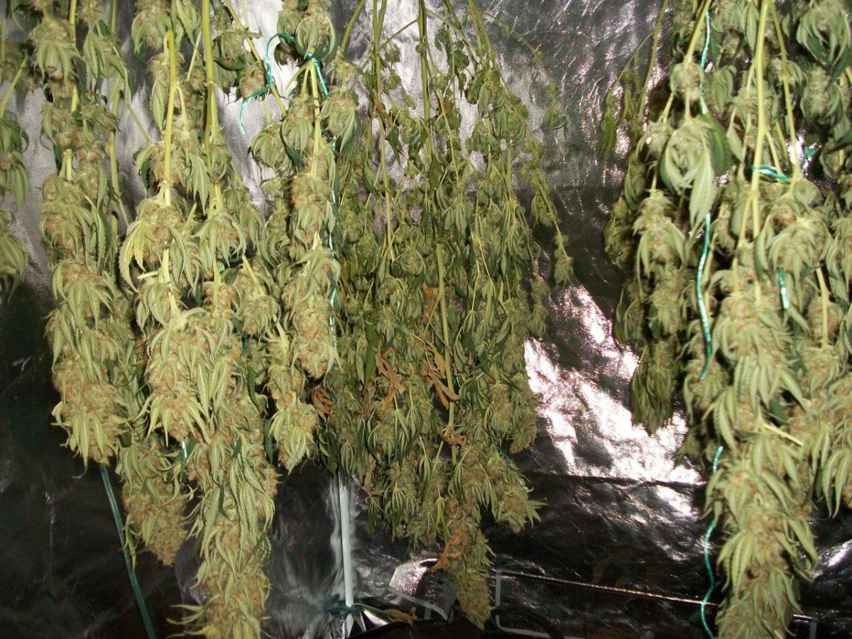 100 1810