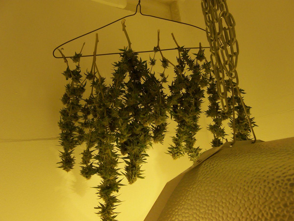 100 7700