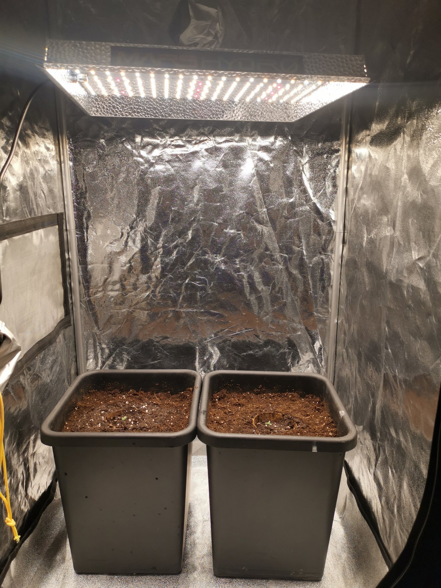 10748 1