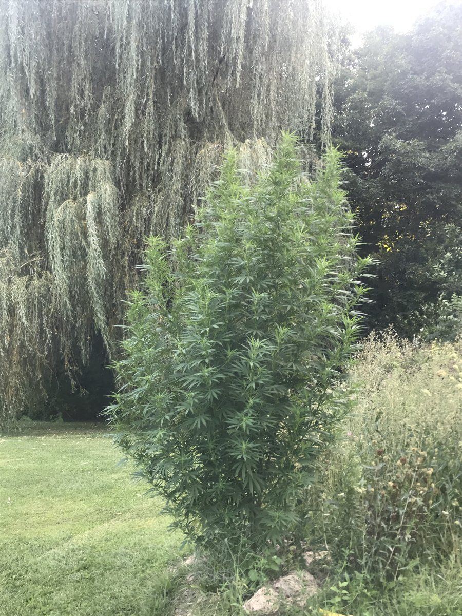 10ft