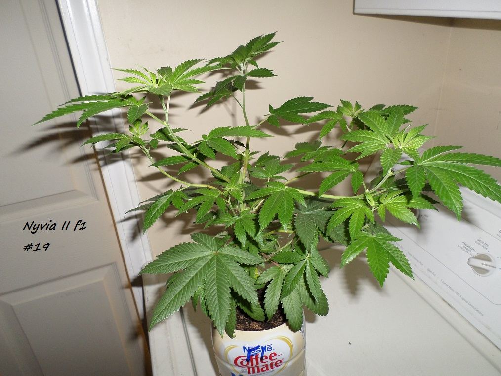 11 1 2014 UpDate 1