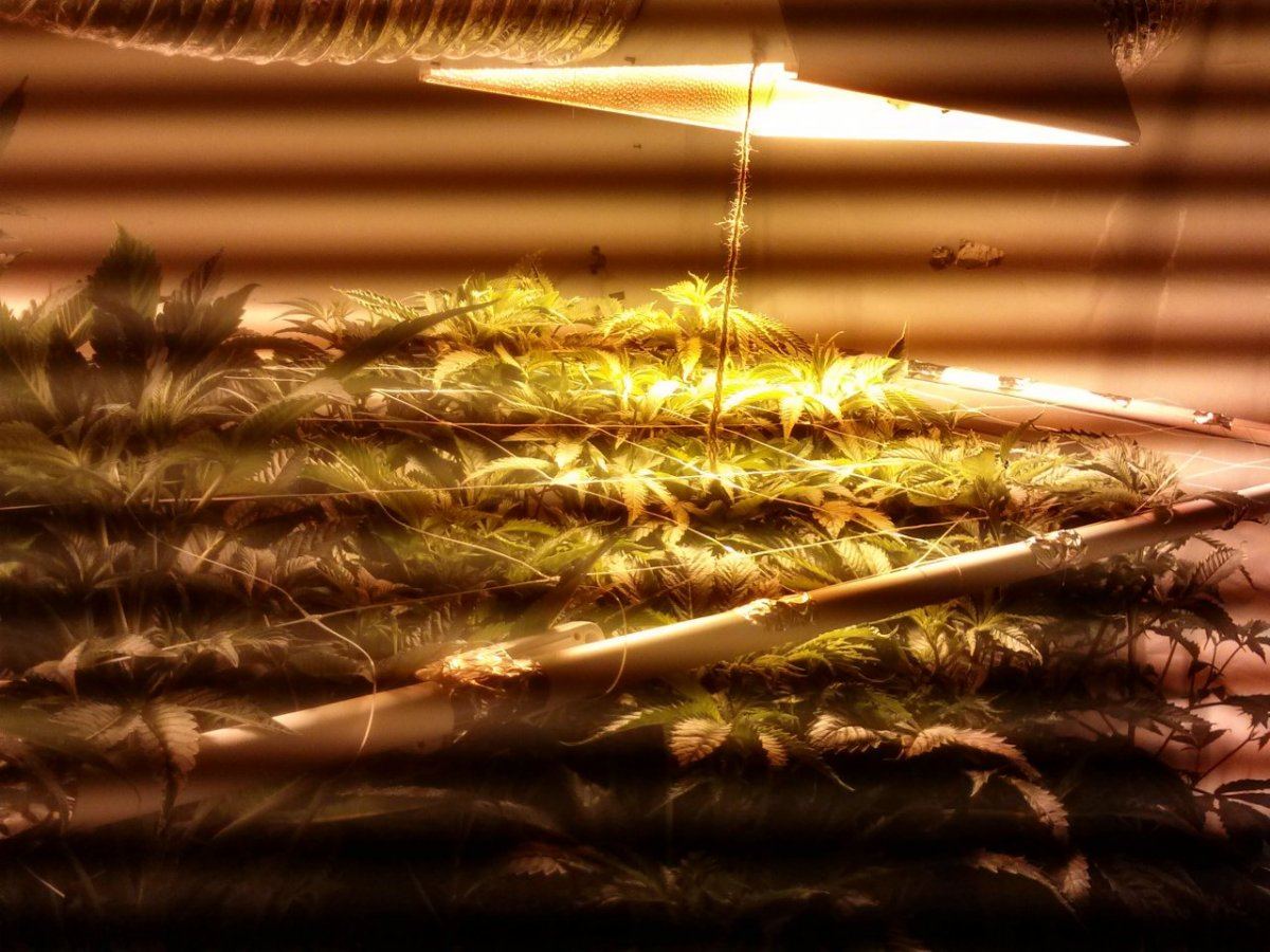 1207130557a