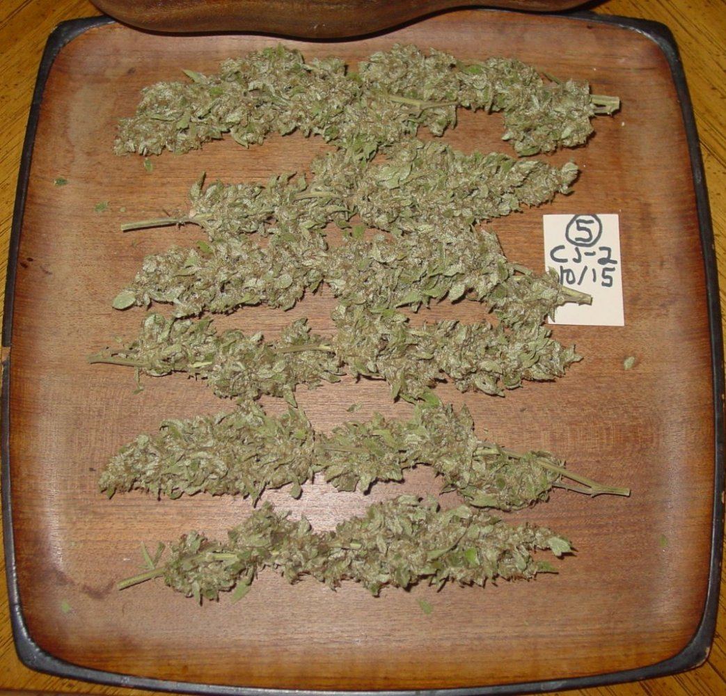 1207c