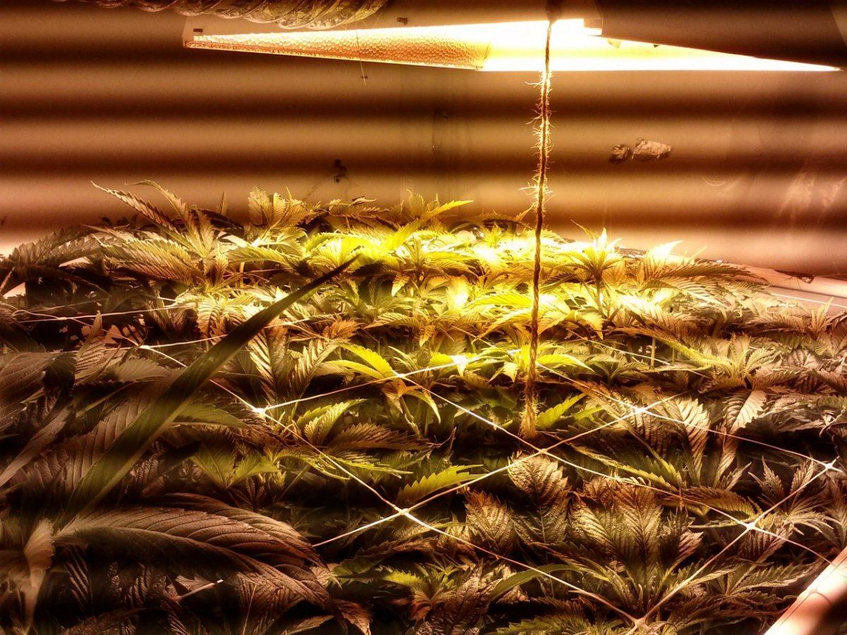 1209132303a
