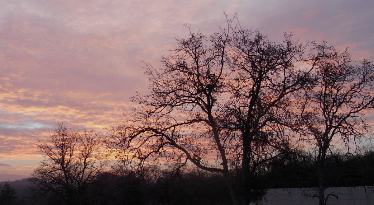 128sunrise