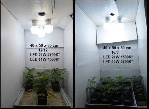 led strip lights for growing plants Dual-Strip LED Grow Light with Flexible Gooseneck, 20 Full Spectrum, Adjustable Brightness & Timer, Targeted Lighting for Seedlings & Indoor Plants |