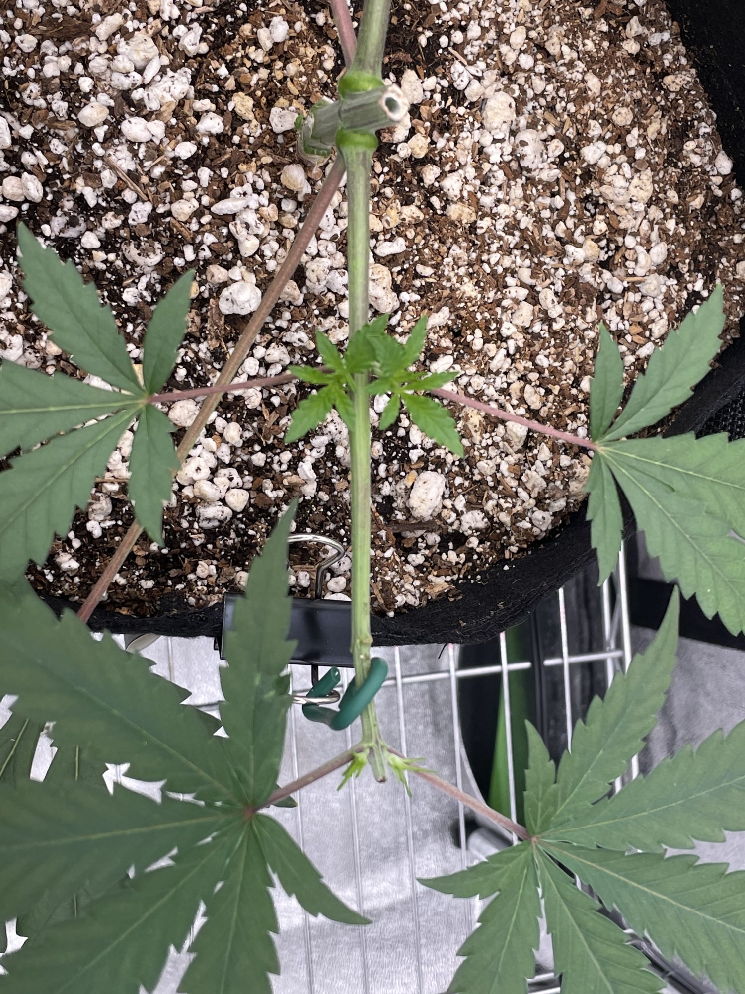 13CDEE90 56C1 4847 9AE4 64AD46B1D494