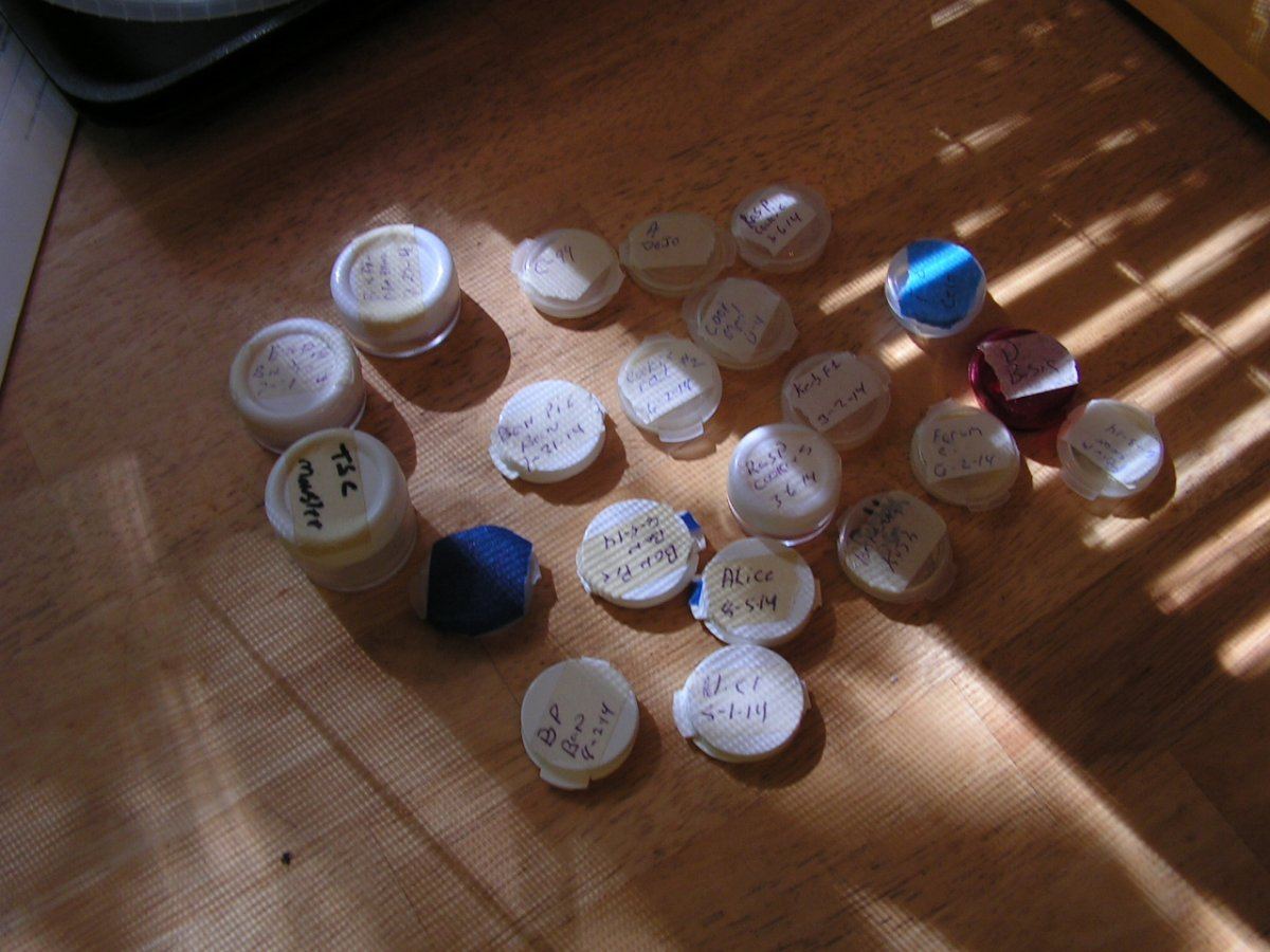 14