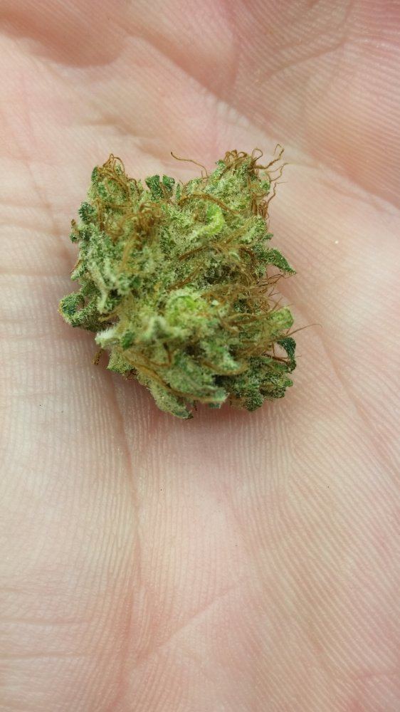 1441750787982