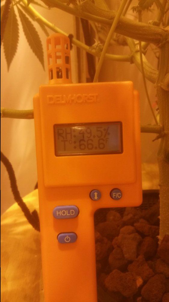 1447608143977556763717