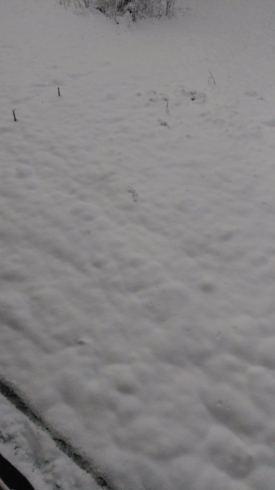 1460205877419567860064