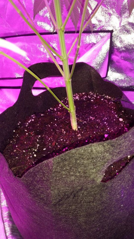 14768423471241008771349