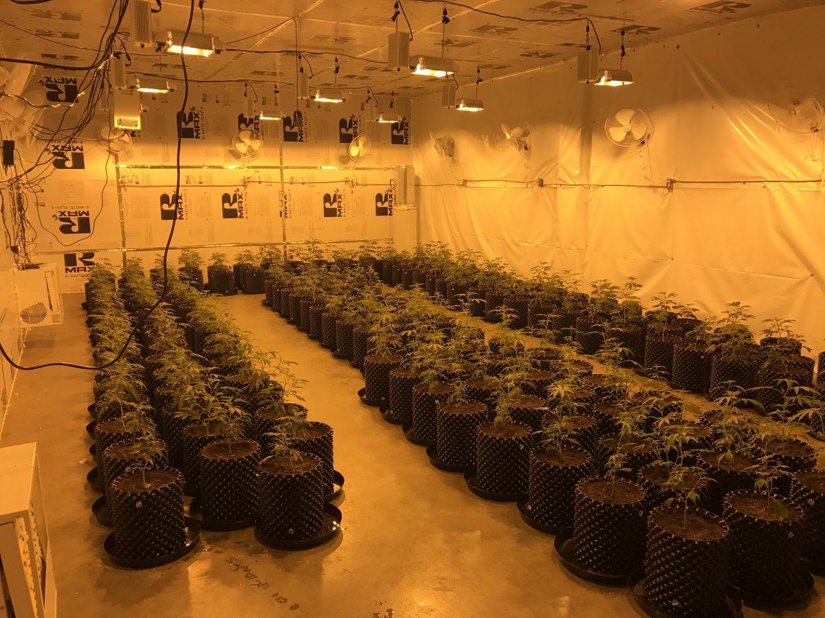 15 light gavita grow x2
