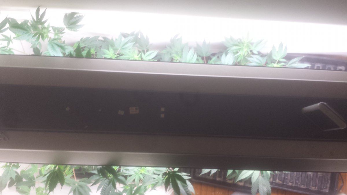 1515115372467