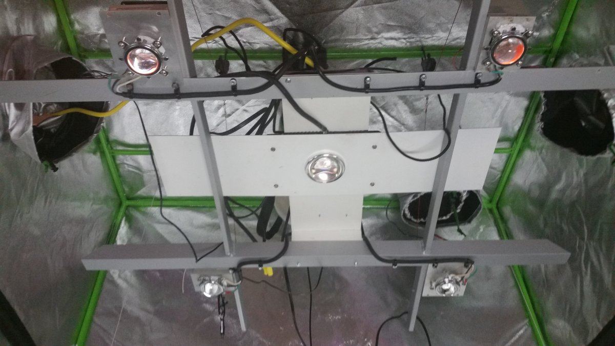 1566690354574667120524