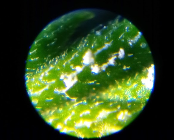 1591778621020
