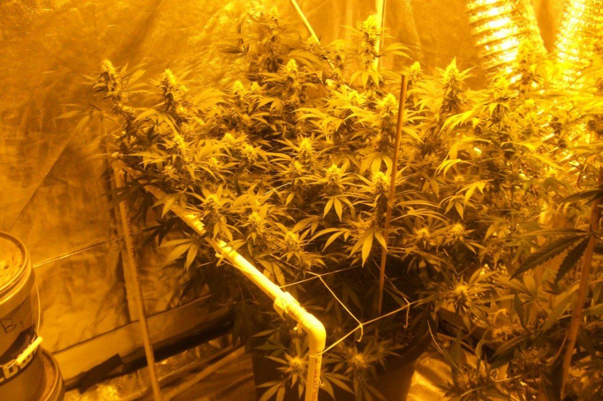 15g