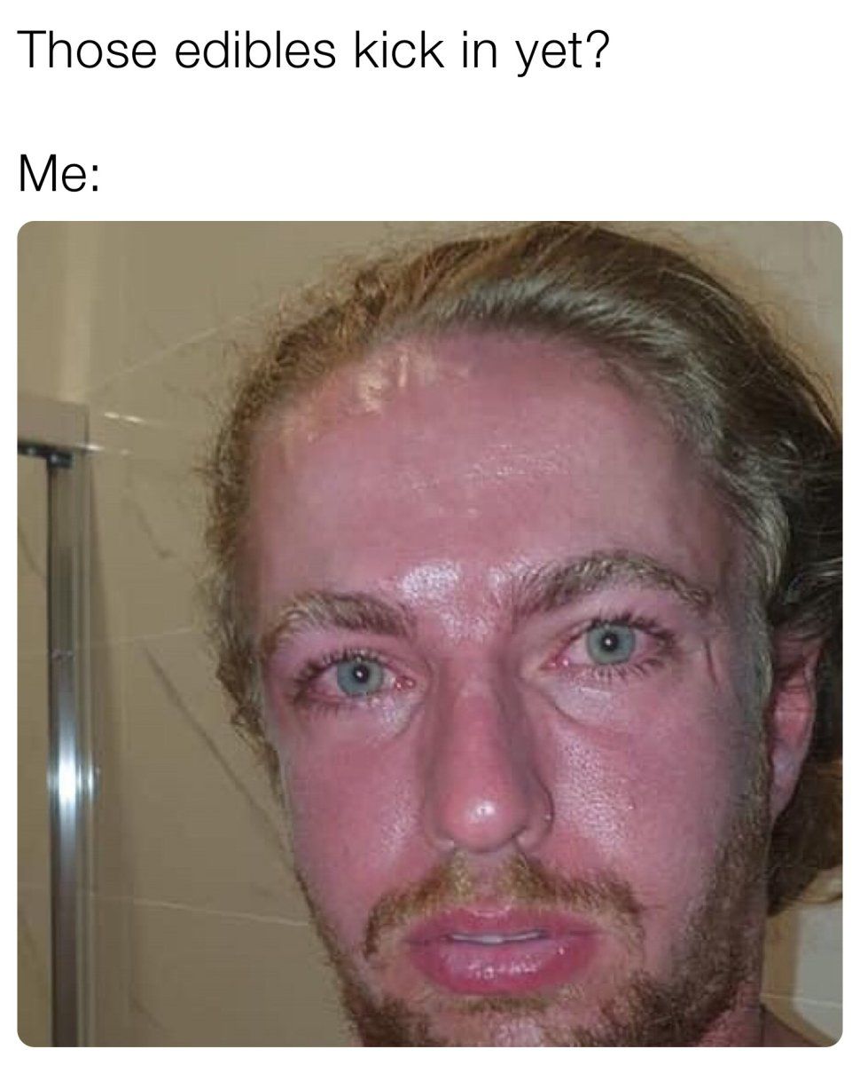 1608646542977