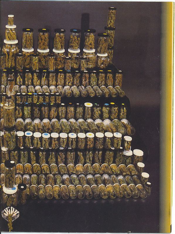 161collection4