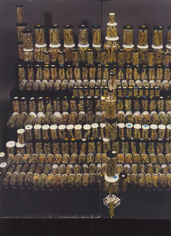 161collection5