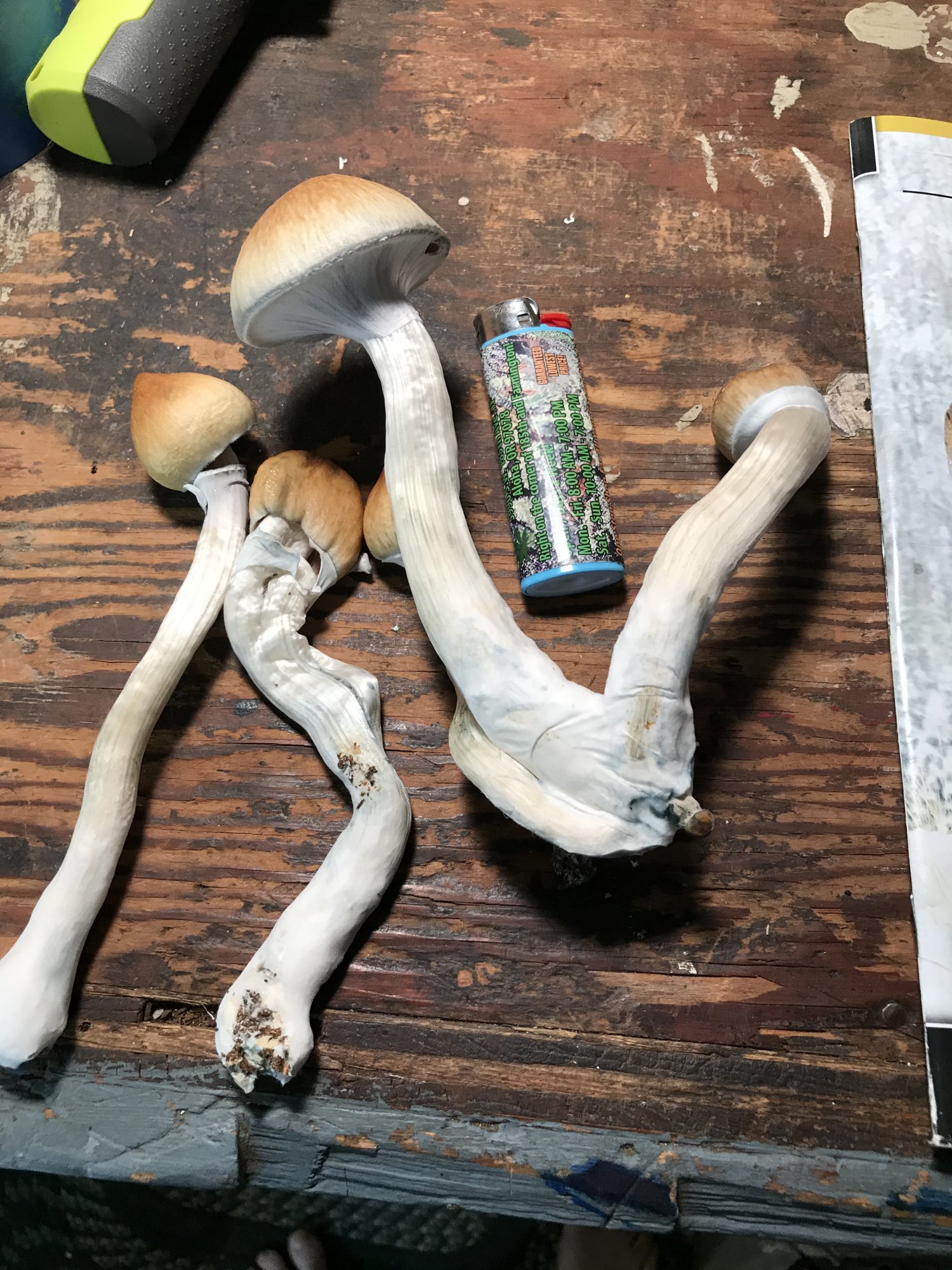1620875757942