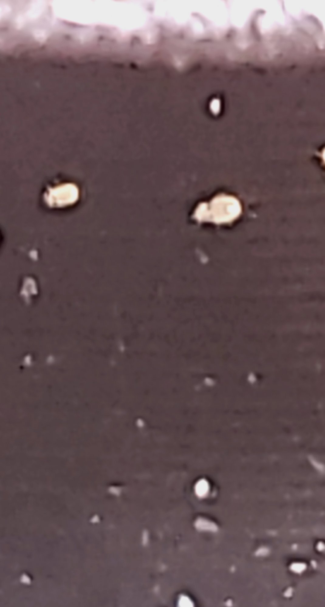 1627164351232