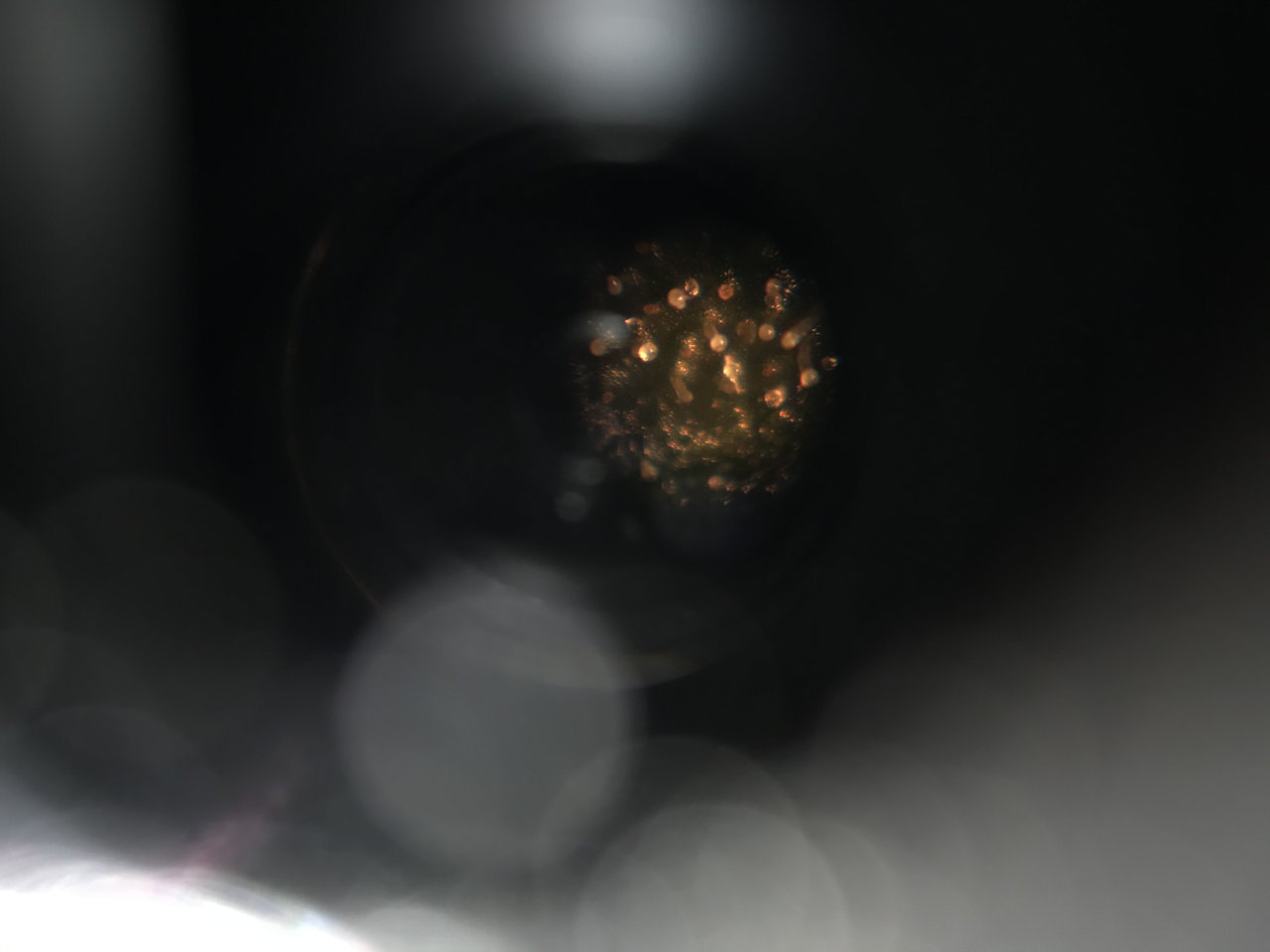 1628735280381