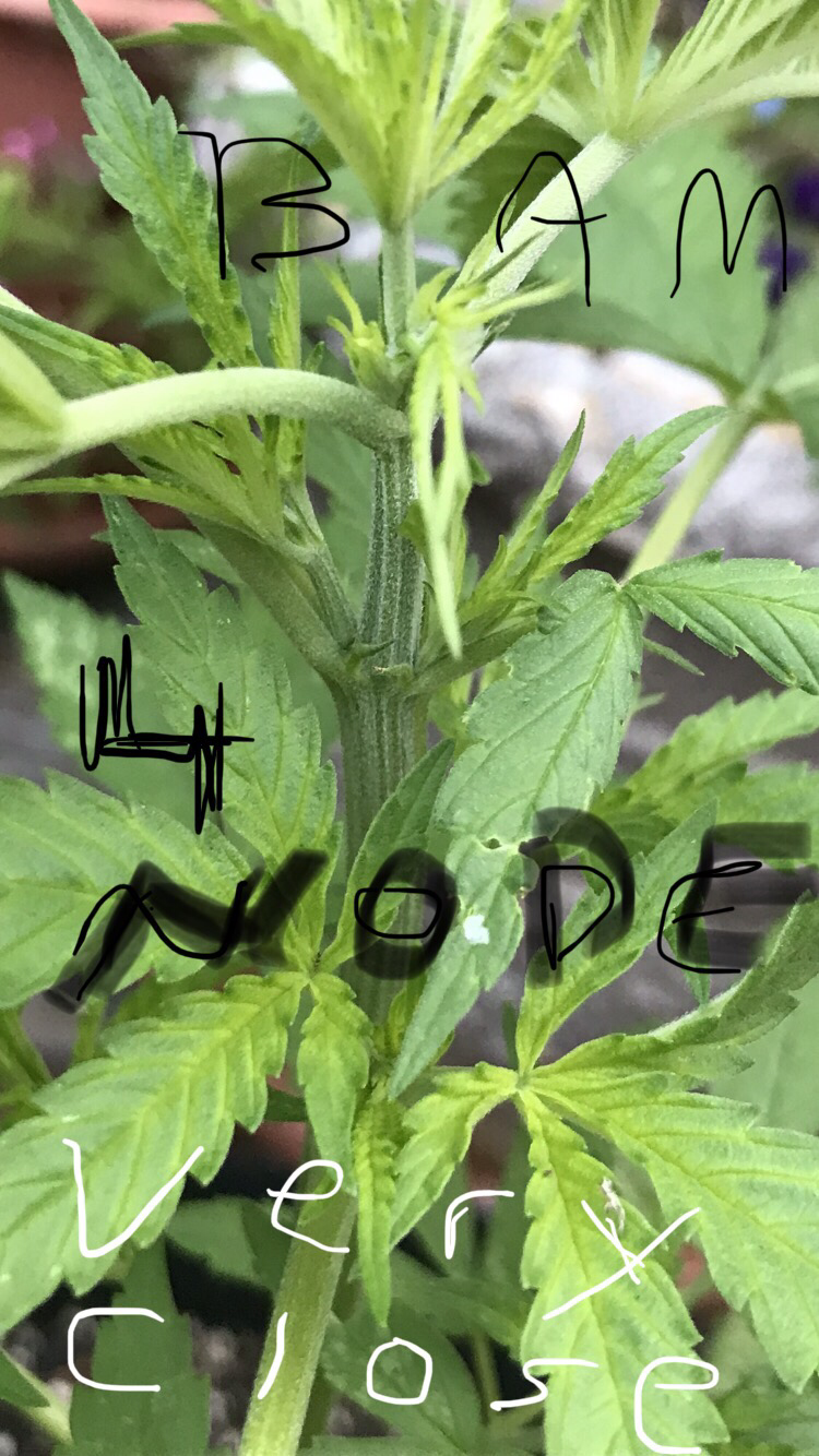1629925161949