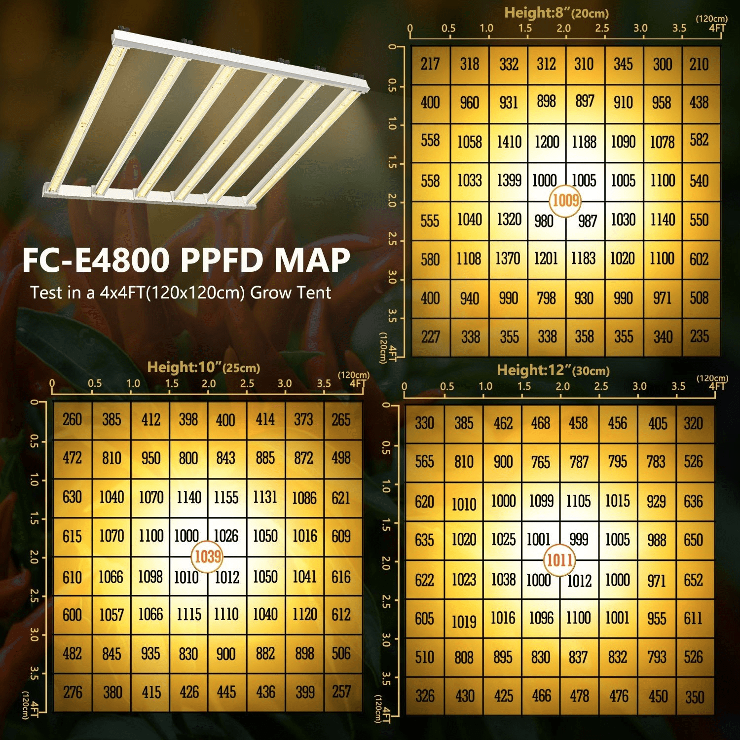 1630763540589