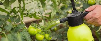 Image result for do foliar sprays burn your plants?