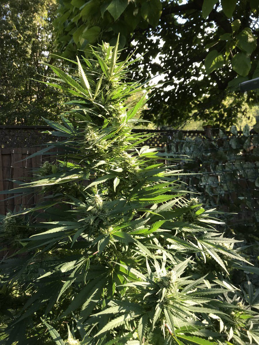 1664831863433