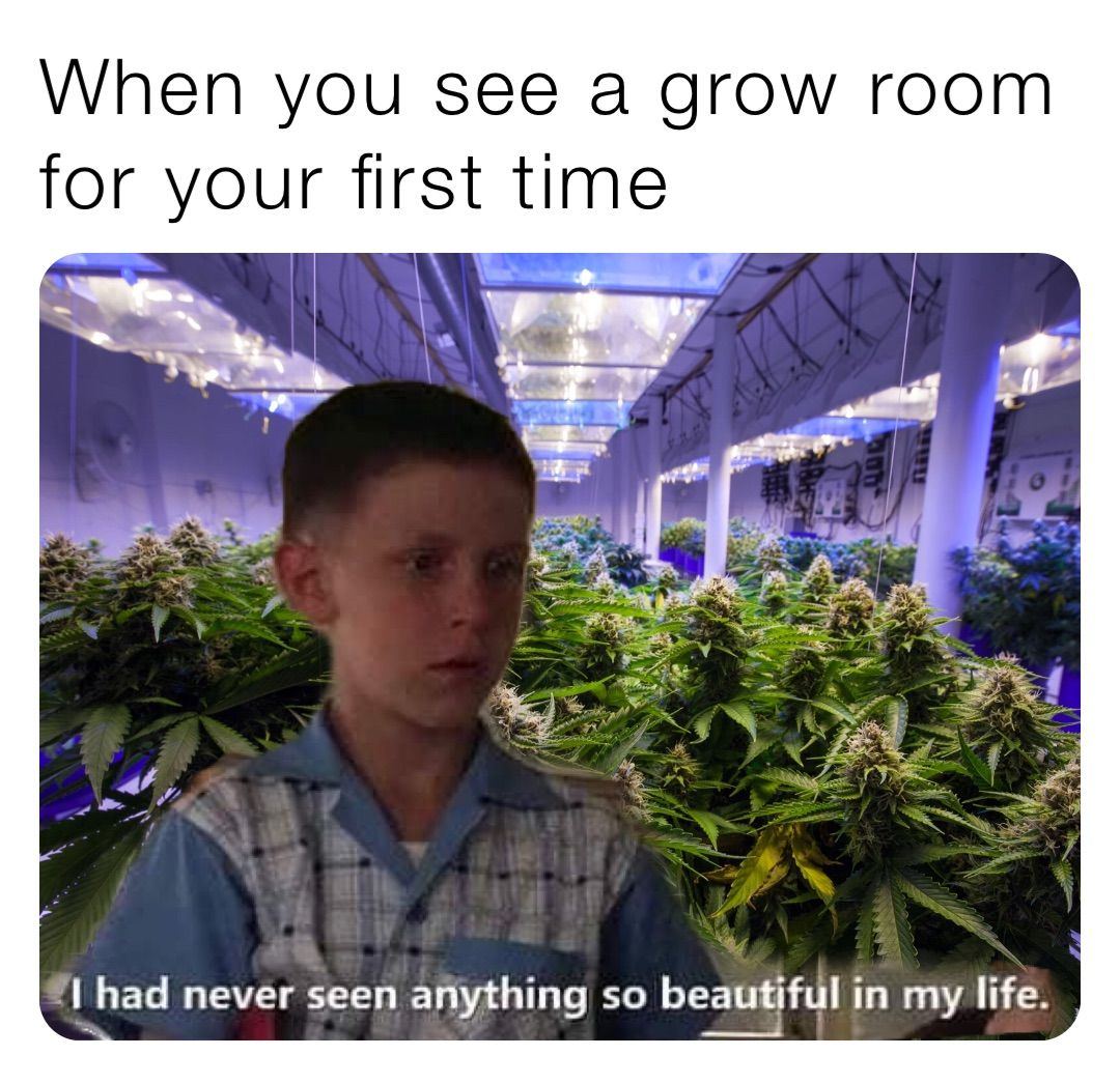 1694015515078