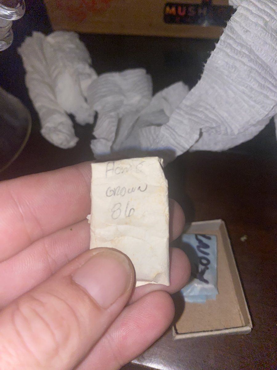 1698456636921