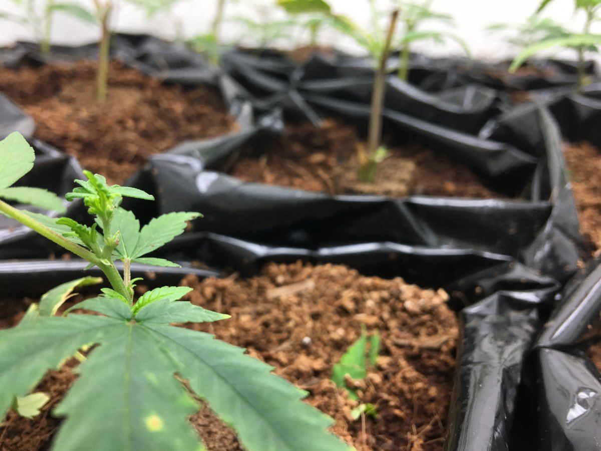 16C4CBD5 98CC 4325 9F30 699EB4217569