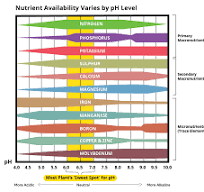 Understanding Plant Nutrition - GreenPlanet Nutrients USA
