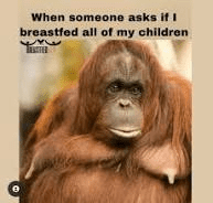 1706643995533